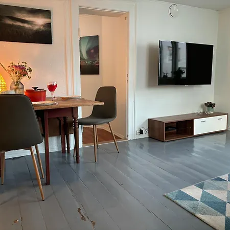 Lägenhet Romslig Og Velutstyrt Leilighet I Gamle